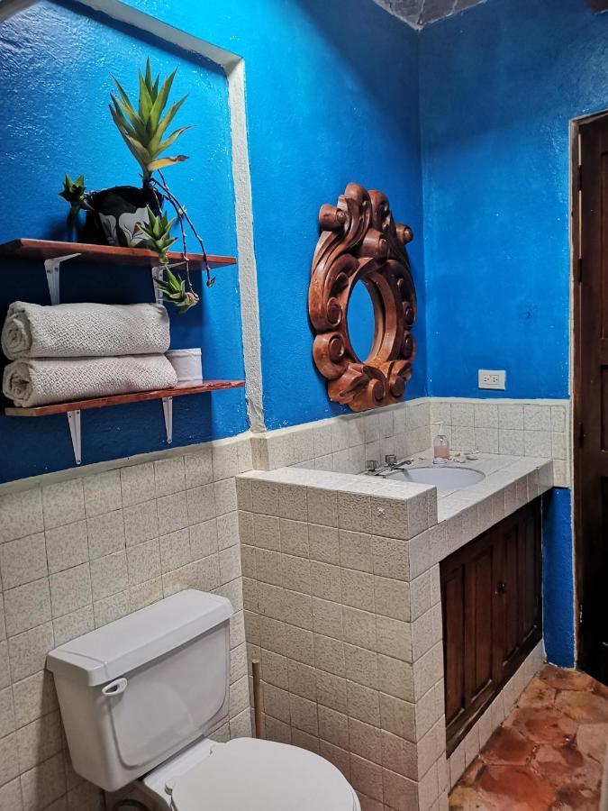 La Casa Del Abuelo Vandrarhem San Miguel de Allende Exteriör bild
