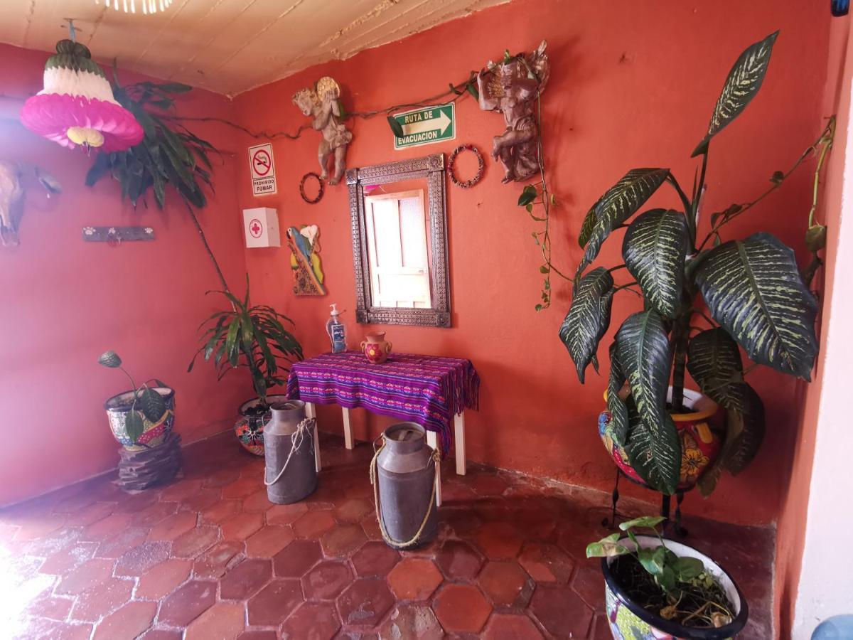 La Casa Del Abuelo Vandrarhem San Miguel de Allende Exteriör bild