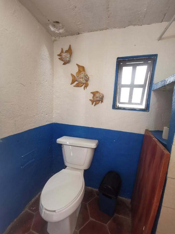 La Casa Del Abuelo Vandrarhem San Miguel de Allende Exteriör bild
