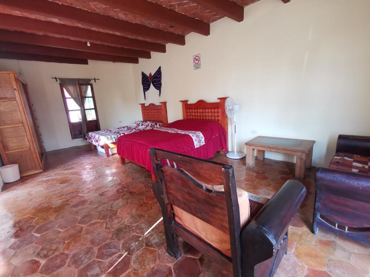 La Casa Del Abuelo Vandrarhem San Miguel de Allende Exteriör bild