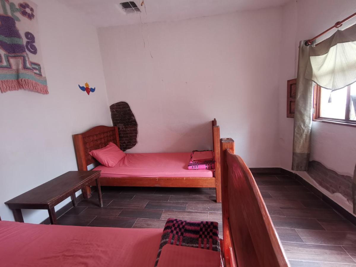 La Casa Del Abuelo Vandrarhem San Miguel de Allende Exteriör bild