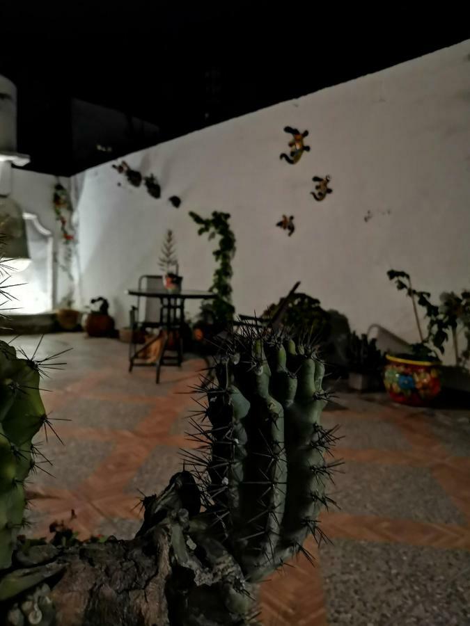 La Casa Del Abuelo Vandrarhem San Miguel de Allende Exteriör bild